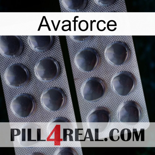 Avaforce 31.jpg